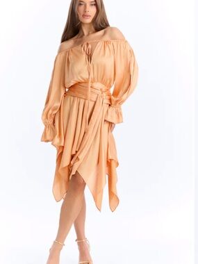 Dress NWT‼️BOGO‼️